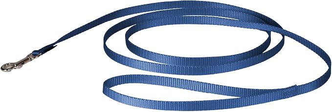 PetSafe Nylon Dog Leash Strong, Durable, Traditional Style Lead with Easy to Use Bolt Snap for Small, Medium and Large Dogs 3/8" x 6', Royal Blue