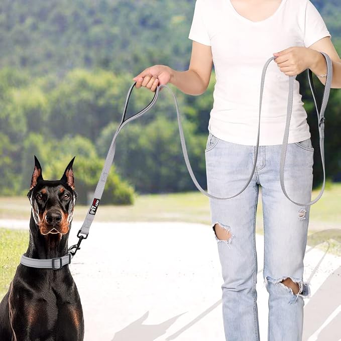 Plutus Pet Double Handle Dog Leash 5ft, Heavy Duty, Reflective Dual Handle Dog Leash for Safety Training, for Medium Large Dogs,2 Handle Leads(Gray)