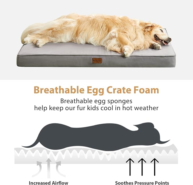 BFPETHOME Outdoor Dog Beds for Large Dogs, Waterproof Dog Bed for Medium, Large, Extra Large Dogs, Orthopedic Pet Bed with Removable Washable Cover, Egg Crate Foam Pet Bed Mat. (47 x 29 in, Grey)