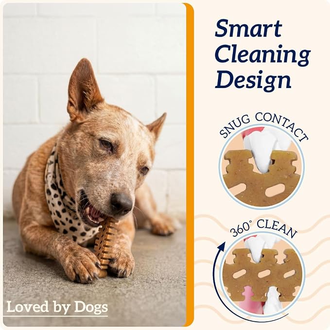 Groovies Flexible Dog Dental Chews with Patented DentalFit Technology to Help Support Tartar Control & Fresh Breath, Medium Dog Chews for 15-25 lb Dogs, USA Manufactured Oral Care, 10 Chews