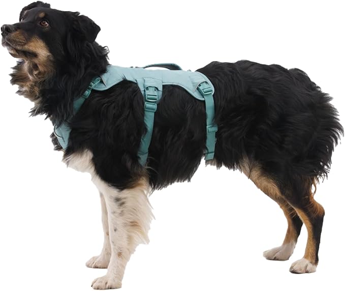 Ruffwear, Web Master, Multi-Use Support Dog Harness, Hiking and Trail Running, Service and Working, Everyday Wear, Blaze Orange, Small