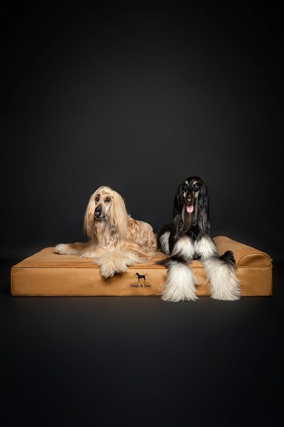 NOAH & PAW Giant Dog Bed XXL 55x45x9.5 Inch, Orthopedic Dog Beds, Eggshell Memory Foam Infused with Cooling Gel, Water Resistant, Machine Washable, Includes Inner Cover (Faux Leather)