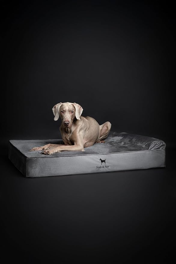 NOAH & PAW XL Dog Bed, 45x35x9.1 Inch, Orthopedic Large Dog Beds, Eggshell Memory Foam Infused with Cooling Gel, Water Resistant, Machine Washable, Includes Inner Cover (Velvet Collection)