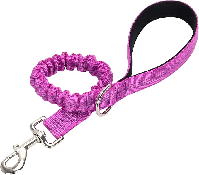 2 FT Bungee Dog Leash, Reflective Strong Nylon Short Traffic Leash, Shock Absorbing Training Lead for Large Medium Dogs Walking Controlling (2ft, Purple)