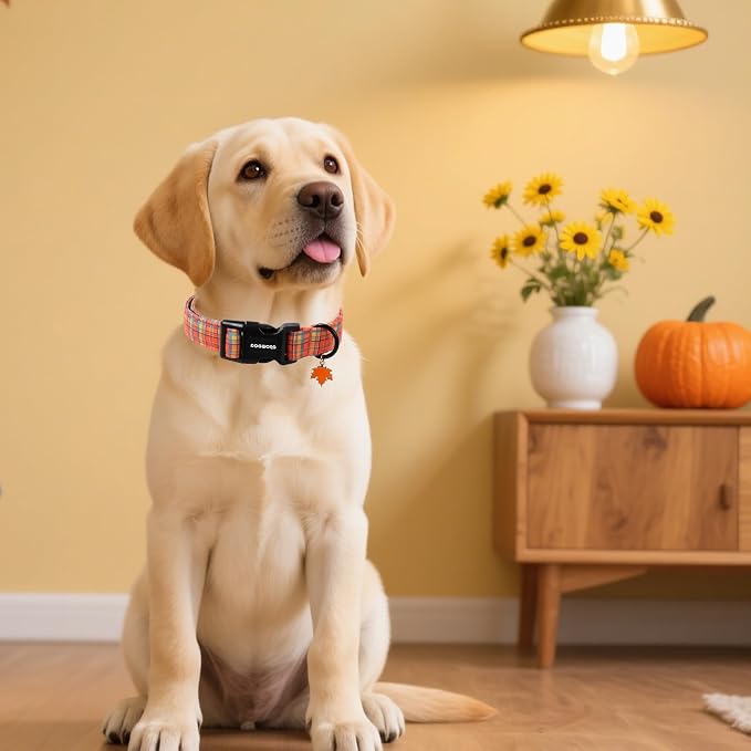 DOGWONG Fall Maple Dog Collar- Cute Classic Fall Autumn Flower Dog Collars Adjustable Fall Dog Collar for Small Medium Large Dogs S