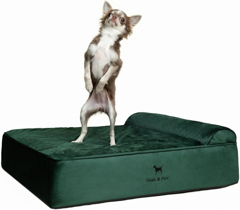 NOAH & PAW Dog Bed, 28x23x7.5 Inch, Orthopedic Dog Beds for Medium Size Pets, Eggshell Memory Foam Infused with Cooling Gel, Water Resistant, Machine Washable, Includes Inner Cover (Velvet Collection)