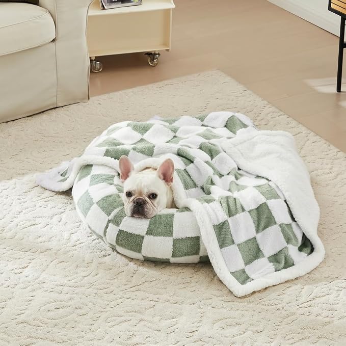 Ohocut Checkered Dog Blanket, Sage Green Jacquard Sherpa Blankets for Small Dog and Cats, Cute Aesthetic Style Fluffy Fleece Pets Blanket for Couch Protection Washable, 40"x50"
