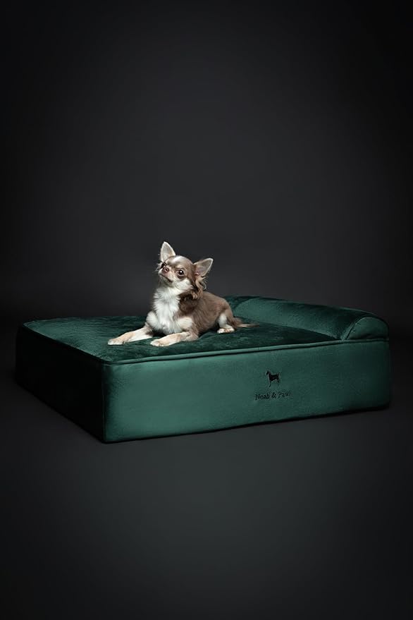 NOAH & PAW Dog Bed, 28x23x7.5 Inch, Orthopedic Dog Beds for Medium Size Pets, Eggshell Memory Foam Infused with Cooling Gel, Water Resistant, Machine Washable, Includes Inner Cover (Velvet Collection)