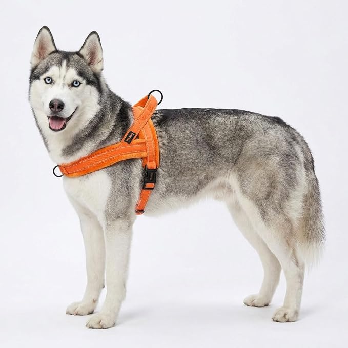 Didog Soft Flannel Padded Dog Vest Harness, No Pull/Quick Fit Reflective Dog Strap Harness, Easy for Training Walking (M:Chest 21-26", Orange)