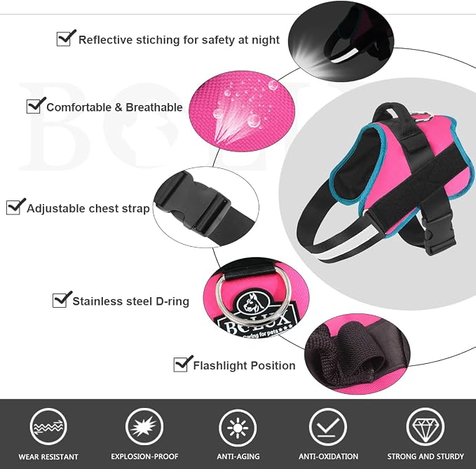 Dog Harness, No-Pull Reflective Dog Vest, Breathable Adjustable Pet Harness with Handle for Outdoor Walking - No More Pulling, Tugging or Choking Small (Pack of 1) RoseTurquoise