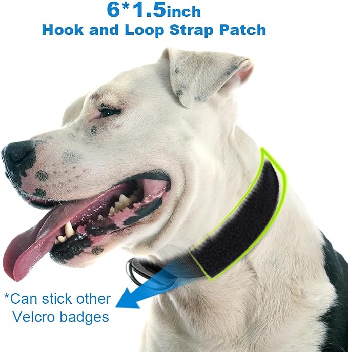 TSPRO Tactical Dog Collar, Adjustable, with Patch & Double Needle Metal Buckle, Heavy Duty for Large to Extra Large Dogs, Durable for Walking, Running, Hiking & Training (Green L-XL)