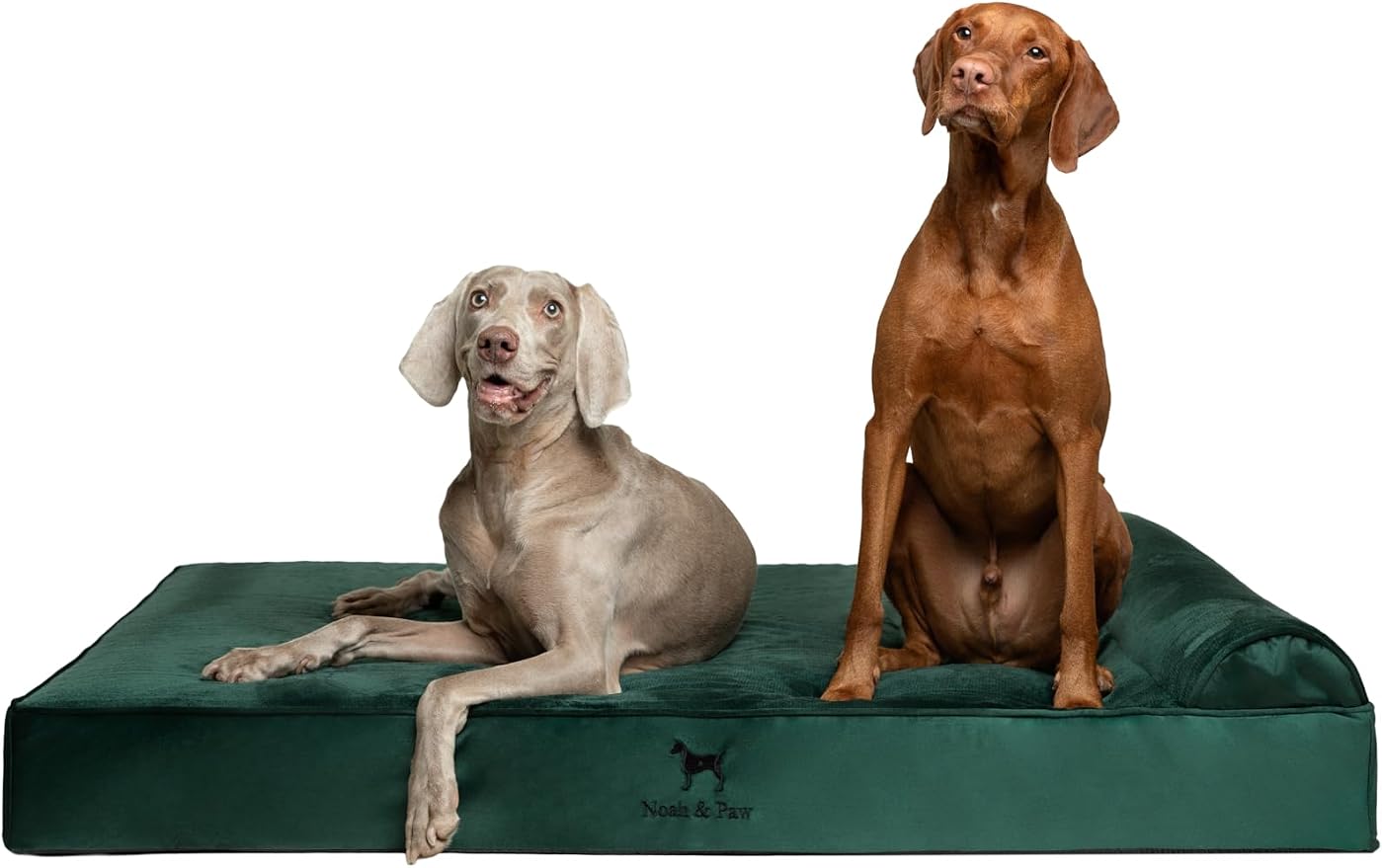 NOAH & PAW Giant Dog Bed XXL 55x45x9.5 Inch, Orthopedic Dog Beds, Eggshell Memory Foam Infused with Cooling Gel, Water Resistant, Machine Washable, Includes Inner Cover (Velvet Collection)