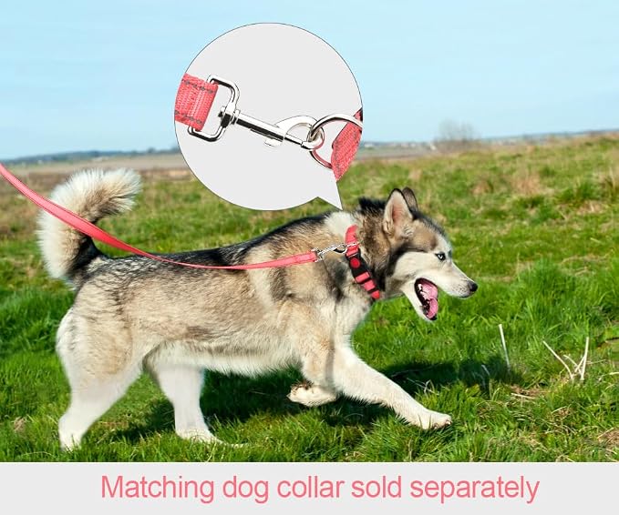 Taglory Dog Leash for Small Dogs, Double-Sided Reflective for Night Walking, Neoprene Padded Handle, 3/4 inch by 4 ft, Lightweight for Small Medium Breeds up to 30 lbs, Pink