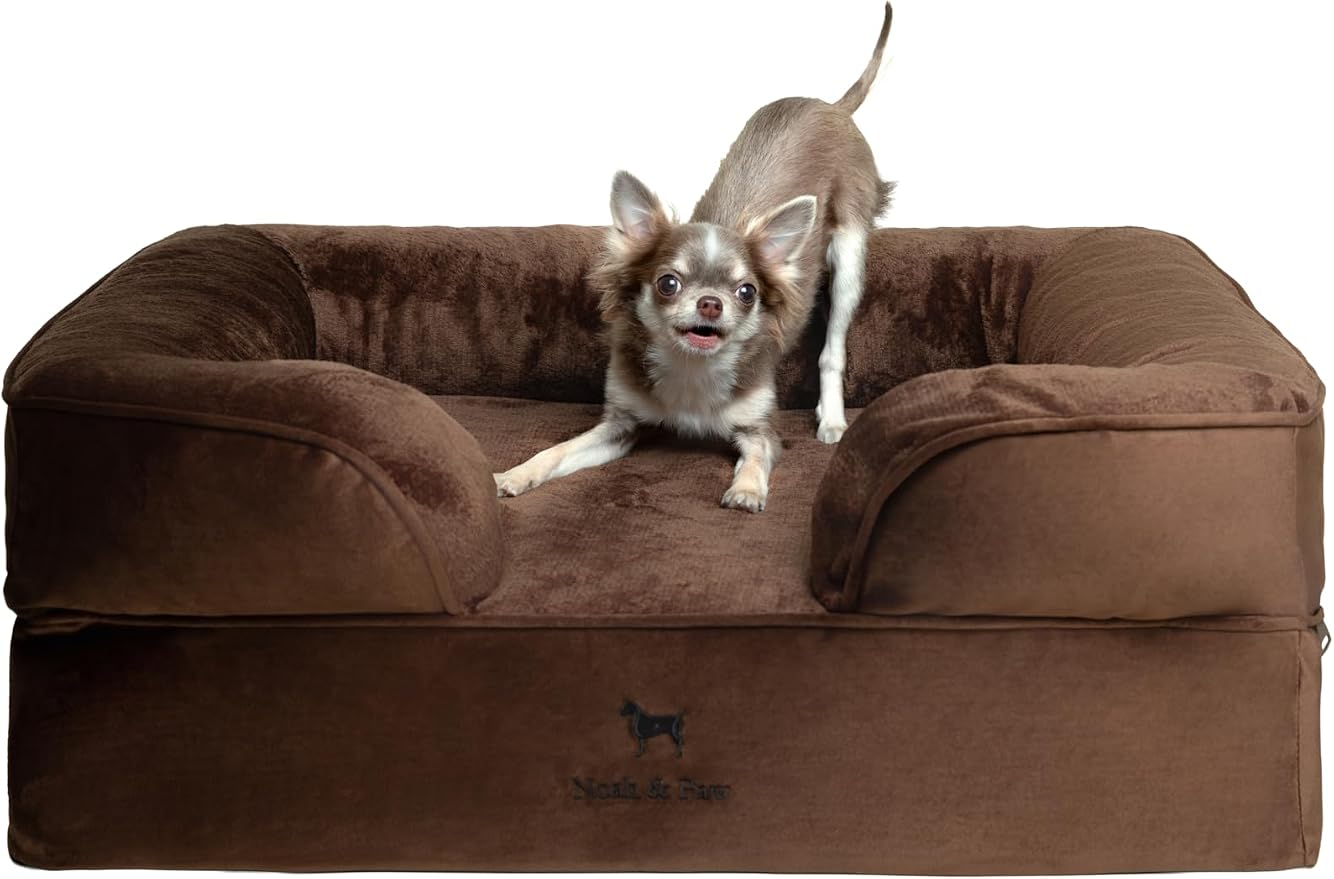 NOAH & PAW Dog Bed, 28x23x11 Inch, Orthopedic Dog Beds for Medium Size Pets, Eggshell Memory Foam Infused with Cooling Gel, Inner Cover, Water Resistant, Machine Washable (Velvet Sofa Collection)