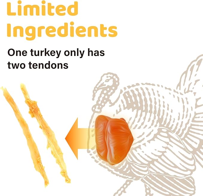 iPaw Turkey Tendon for Dogs, Single Protein, Hypoallergenic, All Natural Human Grade Puppy Chew, Rawhide Alternative Dog Treats, 1 Pc/Pack Bone (Large)