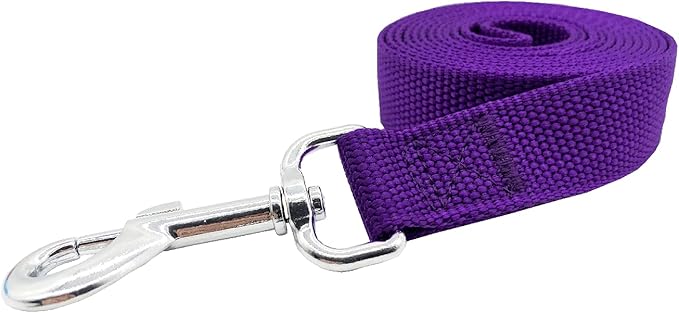 Nylon Dog Training Leash, Traction Rope, 4/5/6 Feet Long, 3/4 Inch 1 Inch Wide, for Small and Medium Dogs (1'' x 5 FT, Purple)