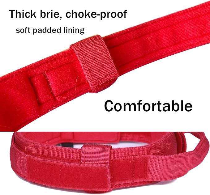 Tactical Dog Collar Adjustable Military Nylon Dog Collar with Control Handle and Heavy Duty Metal Buckle for Medium and Large Dogs (Red,L)