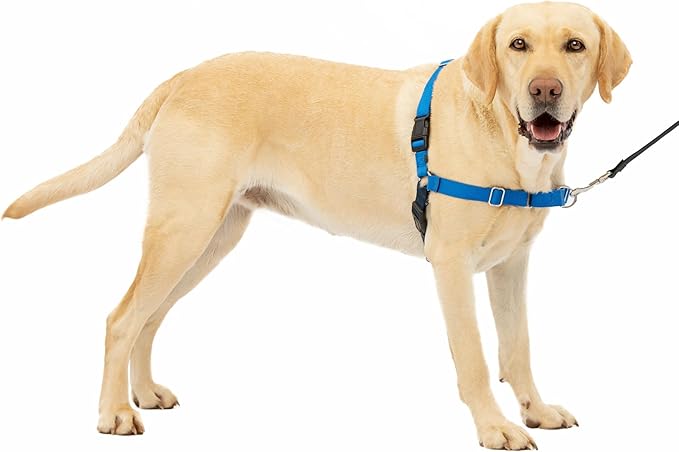 PetSafe Easy Walk No-Pull Dog Harness - Ultimate Harness to Help Stop Pulling - Pull-Free Walks - Take Control & Teach Better Leash Manners - Patented Martingale Loop Design - Royal Blue, Large