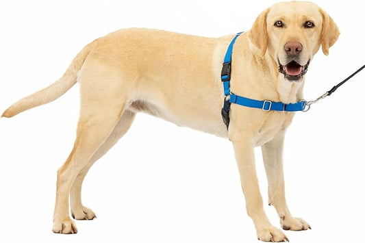 PetSafe Easy Walk No-Pull Dog Harness - Ultimate Harness to Help Stop Pulling - Pull-Free Walks - Take Control & Teach Better Leash Manners - Patented Martingale Loop Design - Royal Blue, Large