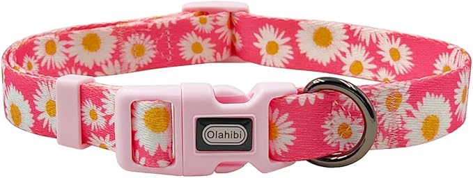 Dog Collar and Leash Set, Cute Pink Daisy Pattern, Polyester Material, 5ft Leash, for Puppy Dogs.(Extra Small, Pink Daisy)