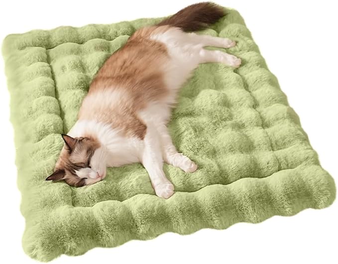 SOMAHE Cat Bed Mat, Soft Plush Faux Fur Kneading Pet Bed, Machine Washable Cat Sleeping Pad for Indoor Cats & Kittens, Non-Slip Fluffy Cat Rug for Couch Sofa Floor, 23x15 Inch Green