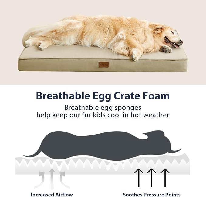 BFPETHOME Outdoor Dog Bed for Large Dogs, Waterproof, Orthopedic with Removable Washable Cover, Egg Crate Foam Mat (30 x 20in, Beige)