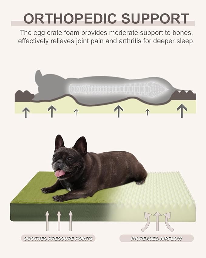 KSIIA Orthopedic Dog Bed Crate Waterproof Pet Mats for Medium Dogs Deluxe Plush Washable Pet Bed with Egg Crate Foam & Removable Cover, 29 x 18 Inch, Green