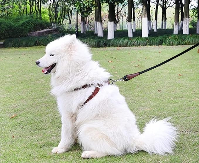 MayPaw 4/6 /8/10 FT Dog Leash, Classic Solid Colors, Strong Nylon Rope Dog Leash Reinforced with Leather Tailor Connection Heavy Duty Silver Clasp (Black, 6ft*1/2")