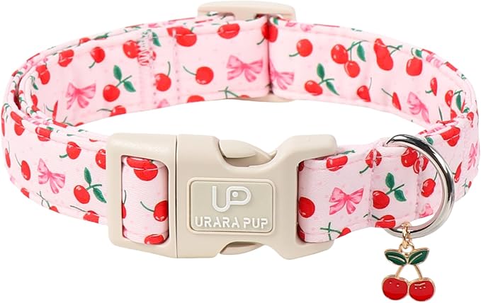 Spring Dog Collar, UP URARA PUP Strawberry Collars in Pink Checkered Adjustable Pet Collar with Quick Release, Daily Dog Accessories for Small Medium Large Dogs