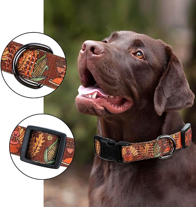 Fall Halloween Thanksgiving Dog Collars Small Size