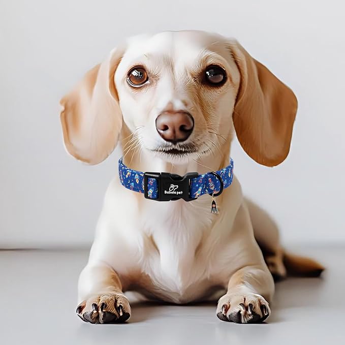 Boy Dog Collar Cute Rocket Space Dog Collars for Small Dogs - Lightweight Adjustable Cute Male Dogs Everyday Collar with Safety Buckle S