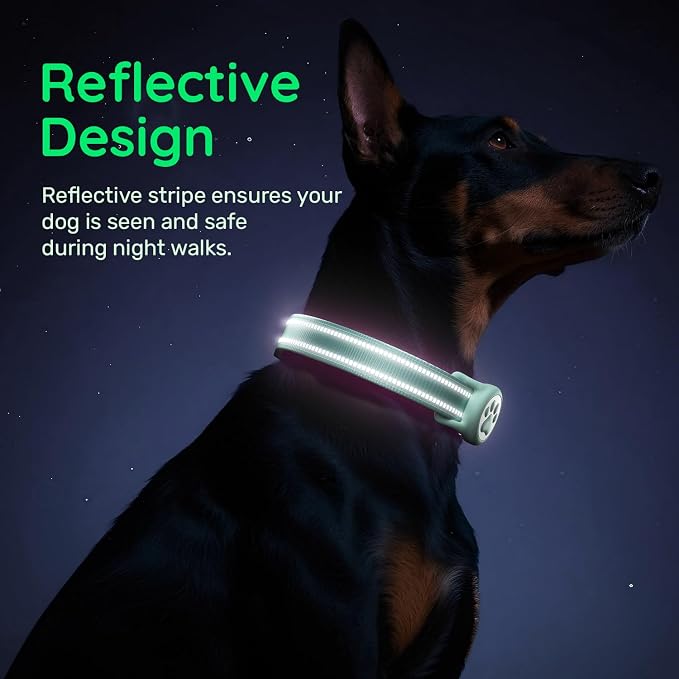 Airtag Dog Collar, Reflective Ultra-Durable Nylon Padded with QR Code Buckle & IP68 Waterproof Air Tag Holder Compatible for Apple AirTag, Comfortable for Small Medium Large Dogs(Green,S)
