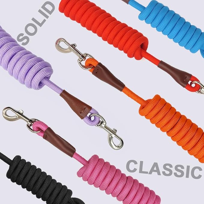 MayPaw 6/8 /10 FT Dog Leash, Classic Solid Colors, Strong Nylon Rope Dog Leash Reinforced with Leather Tailor Connection Heavy Duty Silver Clasp (Purple, 6ft*1/2")