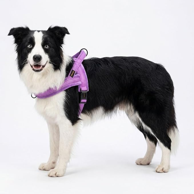 Didog Soft Flannel Padded Dog Vest Harness, No Pull/Quick Fit Reflective Dog Strap Harness, Easy for Training Walking (M:Chest 21-26", Purple)
