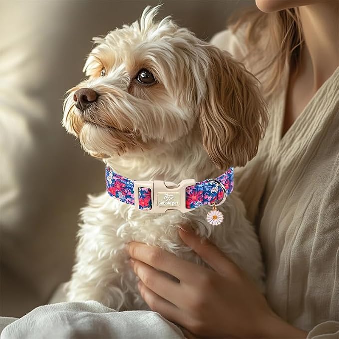 Floral Dog Collar Spring/Summer Dog Collars for Puppy Small Dogs - Lightweight Adjustable Vintage Wildflower Boy Girl Dogs Everyday Collar with Safety Buckle XS