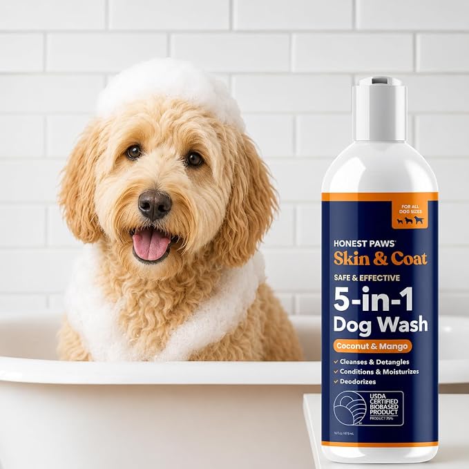 Honest Paws Dog Shampoo and Conditioner - Premium Dog Wash for Allergies and Dry, Itchy, Moisturizing for Sensitive Skin - Sulfate Free, Plant Based, All Natural - Coconut & Mango -16 Fl Oz
