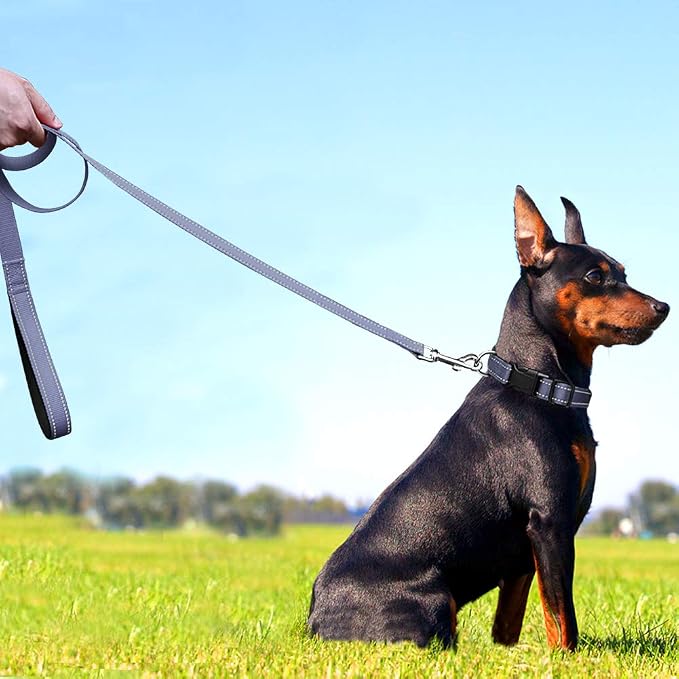 FunTags 6FT Grey Reflective Dog Leash for Medium & Small Dogs Walking, Soft Padded Handle Comfortable Grip, Heavy Duty Nylon, Reflective for Night Walking, 3/4in Wide