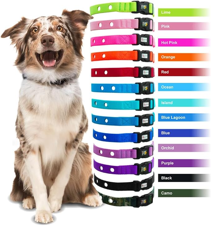 Extreme Dog Fence Dog Collar Replacement Strap - Bright Orange - Compatible with Nearly All Brands and Models of Underground Dog Fences