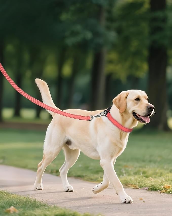 Joytale Extra Large Dog Collar, Wide Double-Sided Reflective Nylon Collar for Night Safety, Adjustable Quick-Release for Gentle Giants, Pink, XL (1 1/4" Width)