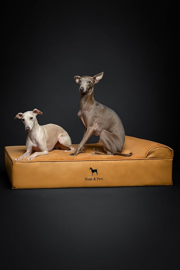NOAH & PAW Large Dog Bed, 35x25x8.7 Inch, Orthopedic Dog Beds, Eggshell Memory Foam Infused with Cooling Gel, Water Resistant, Machine Washable, Includes Inner Cover (Faux Leather)
