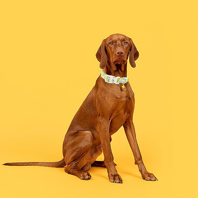 Elegant little tail Dog Collar-Cute Dog Pet Collars Duck Print Puppy Adjustable Soft Cotton Girl Boy Dog Collars for Small Medium Large Dogs, Large