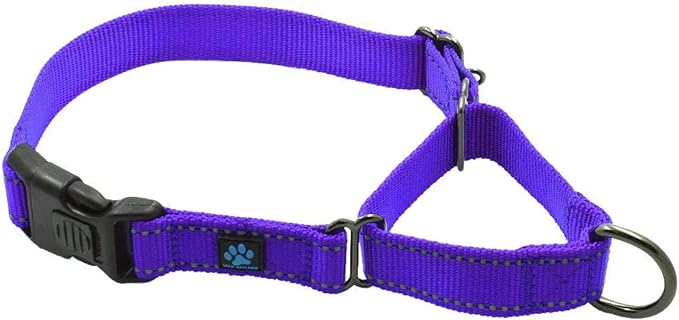 Max and Neo Nylon Martingale Collar - We Donate to a Dog Rescue for Every Collar Sold (Large, Purple)