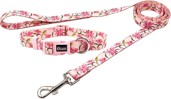Dog Collar Leash Set, Floral Pattern, Polyester Material, Adjustable Collar and 5ft Matchcing Leash, for Puppy Dogs.(XS, Pink Lily)