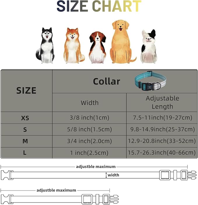 Roses&Poetry Small Dog Collar, Adjustable Personalized Durable Pet Collars for Small Medium Large Dogs (Teal-S)