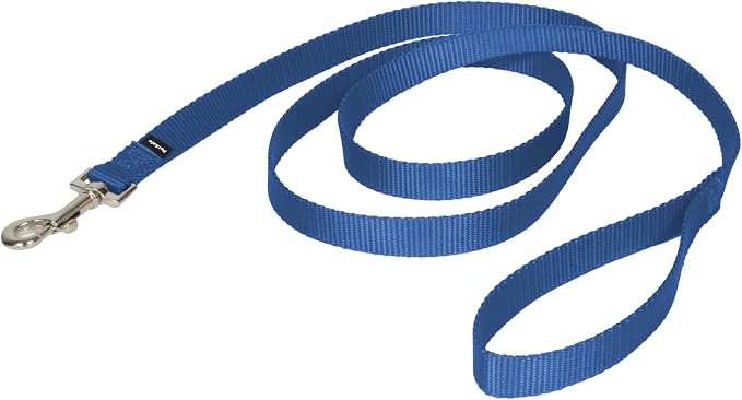 PetSafe Nylon Dog Leash Strong, Durable, Traditional Style Lead with Easy to Use Bolt Snap for Small, Medium and Large Dogs 3/4" x 6', Royal Blue