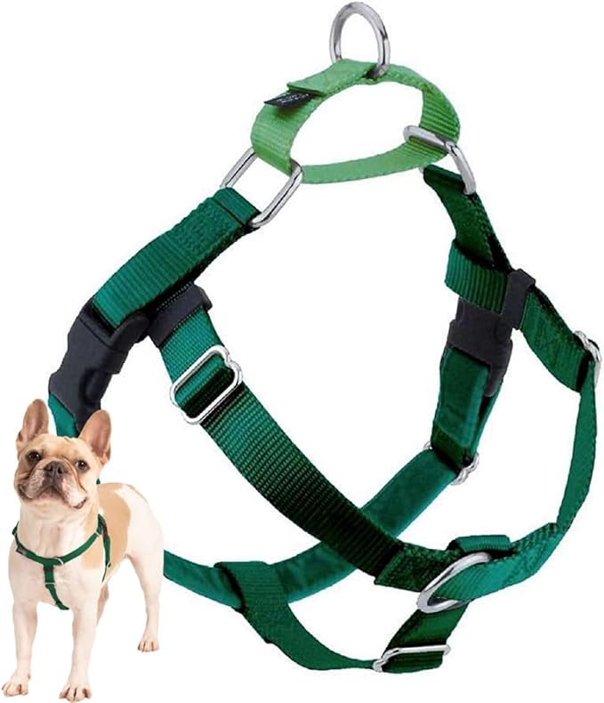 2 Hounds Design Freedom No Pull Dog Harness, Adjustable Harness, Easy Walking & Comfortable Control, Fits Small, Medium & Large Dogs, Solid Colors, Made in USA, 1" XL, Kelly Green