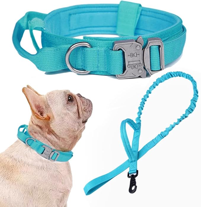 Tactical Dog Collar and Leash Set Adjustable Military Nylon Dog Collar with Control Handle and Heavy Duty Metal Buckle for Large Dogs（Blue S