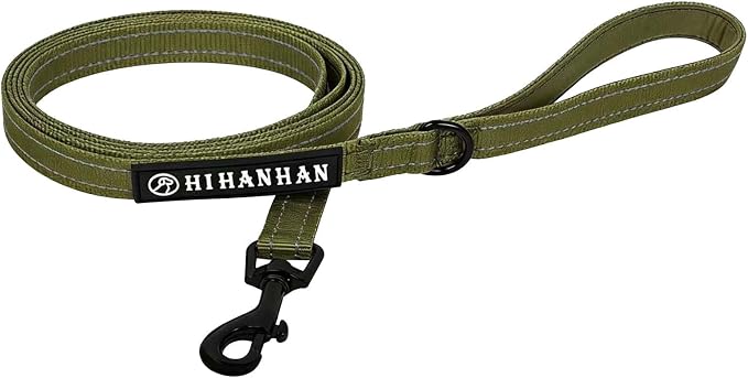 Reflective 6 FT Dog Leash, Premium Traditional Style Puppy Leash with Easy to Use Collar Hook for Small, Medium, and Large Breed Puppies (Green, 3/4 in x 6 ft)