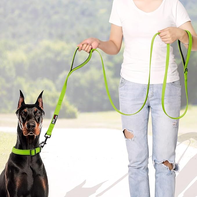 Plutus Pet Double Handle Dog Leash 5ft, Heavy Duty, Reflective Dual Handle Dog Leash for Safety Training, for Medium Large Dogs,2 Handle Leads(Green)