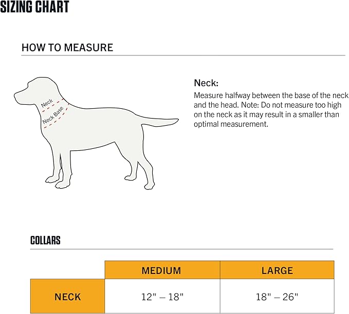 Carhartt Field Dog Collar, Fully Adjustable, Durable 600-Denier Fabric W/Reflective Wordmark for Visibility, Port, Medium